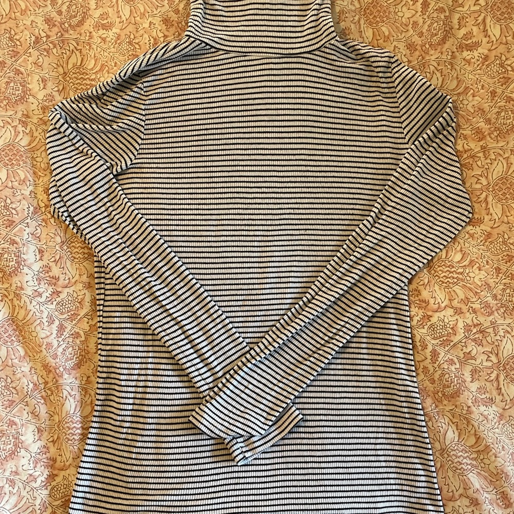 American Eagle Outfitters Turtle Neck Top